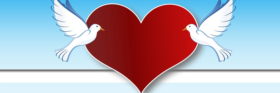 Spirit_History's profile banner image