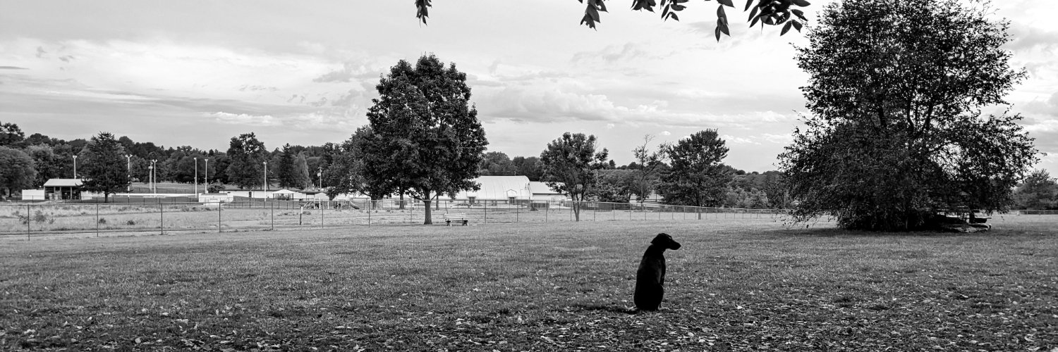 jimborick's profile banner image