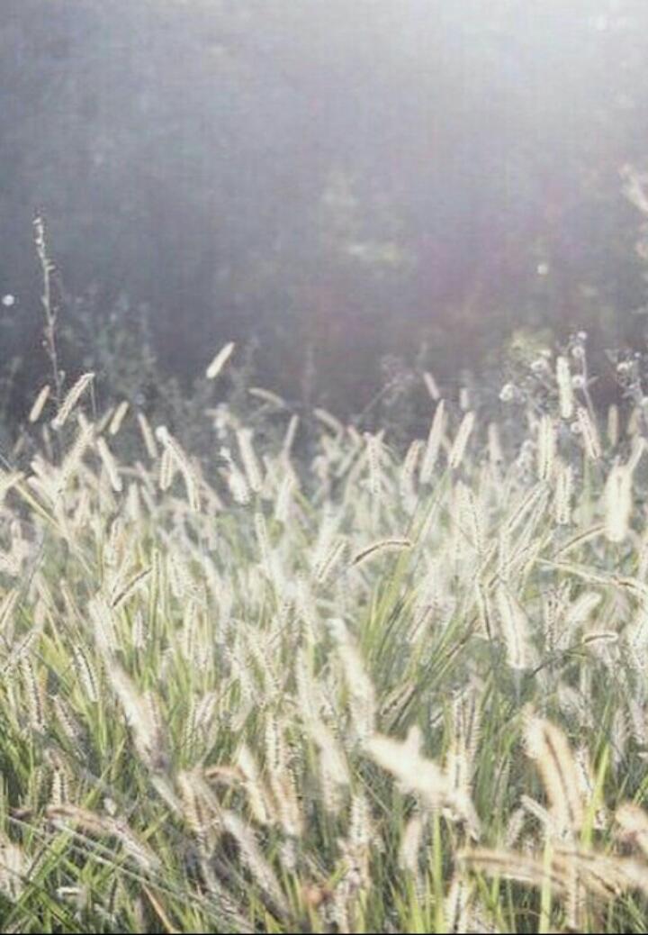mxrlen_sn's profile banner image