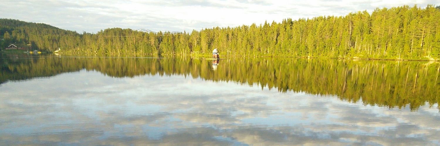 fsaasen's profile banner image