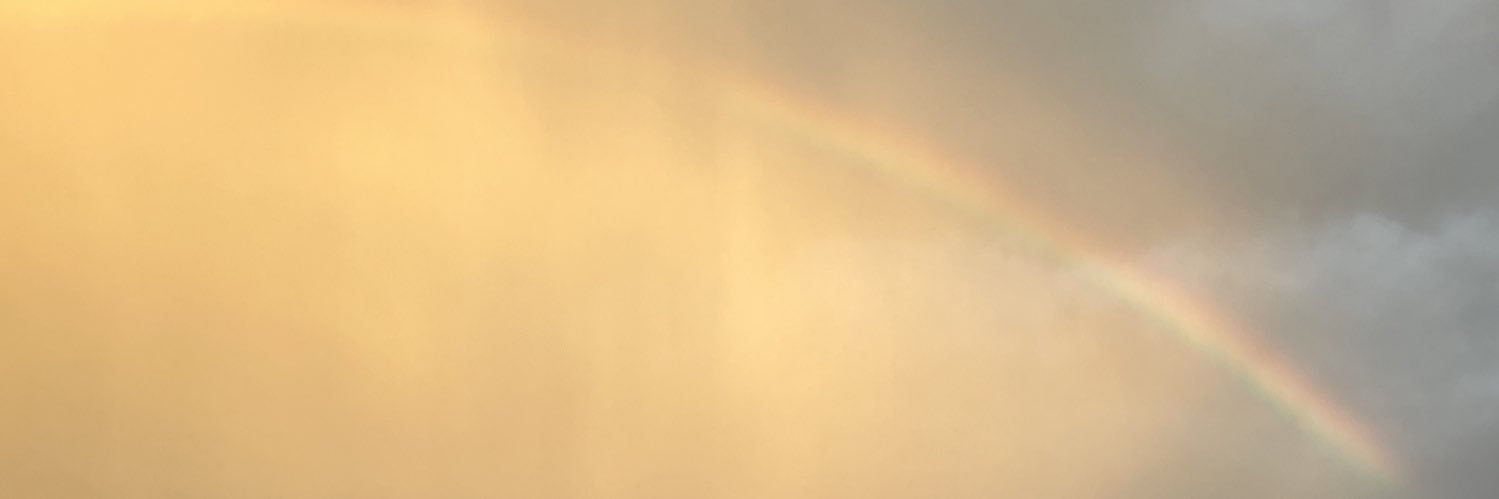 tarosotaro's profile banner image