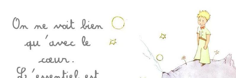 ece_saruhan's profile banner image