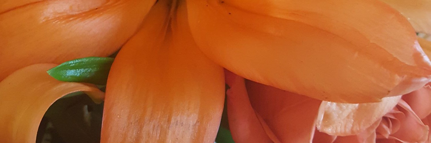 ellelletweet's profile banner image