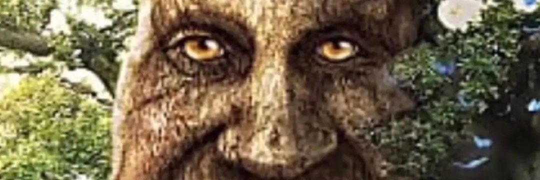 Rilza_'s profile banner image
