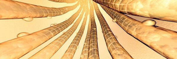 nBioUMH Profile Banner