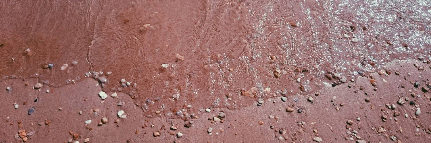 aycacegi's profile banner image