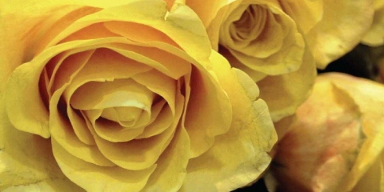 imshubham321's profile banner image