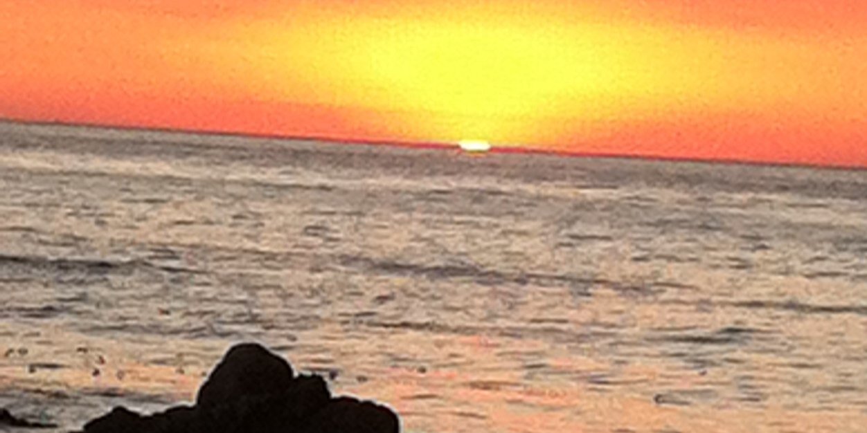 MommaDoz's profile banner image