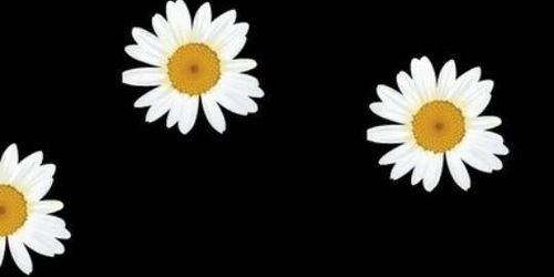 JessyNelsonfk's profile banner image