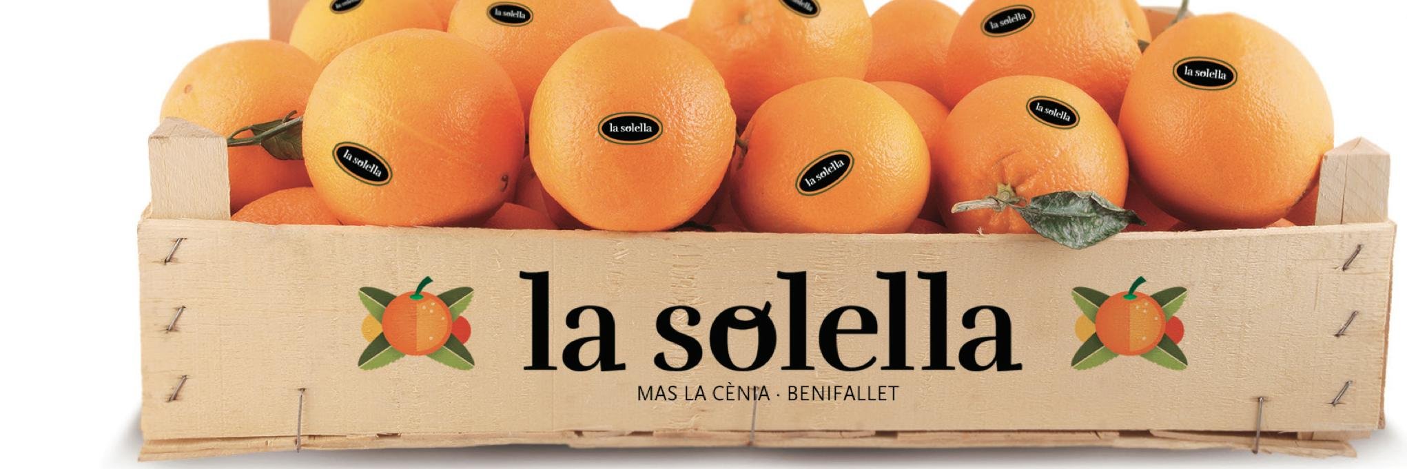 lasolella's profile banner image