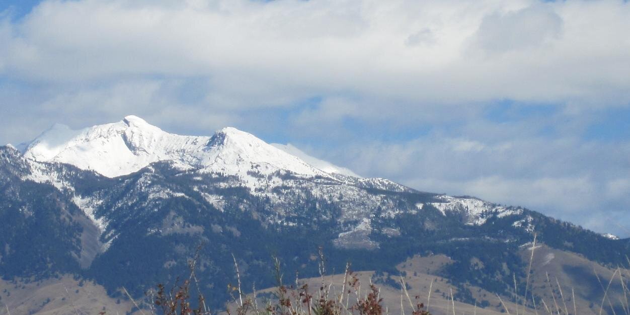 Montanawild's profile banner image