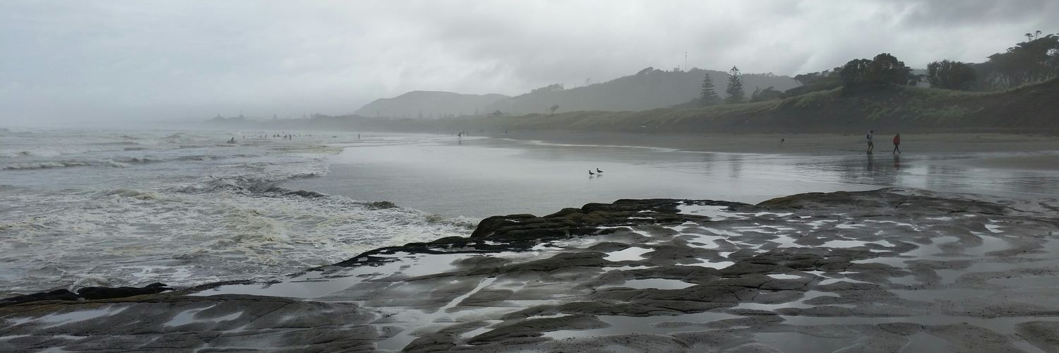 Dr Stefanie Plage banner