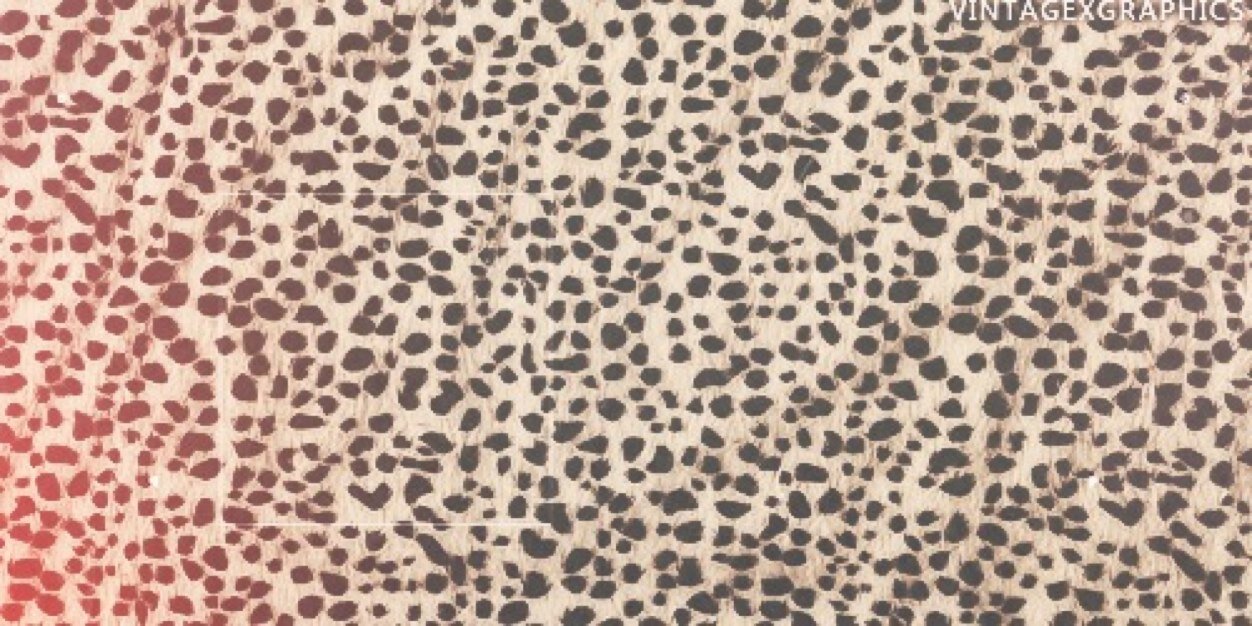 Joyce_BanksMBR's profile banner image
