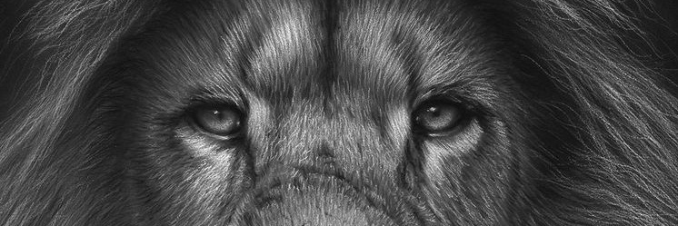Jeff95_Ny's profile banner image