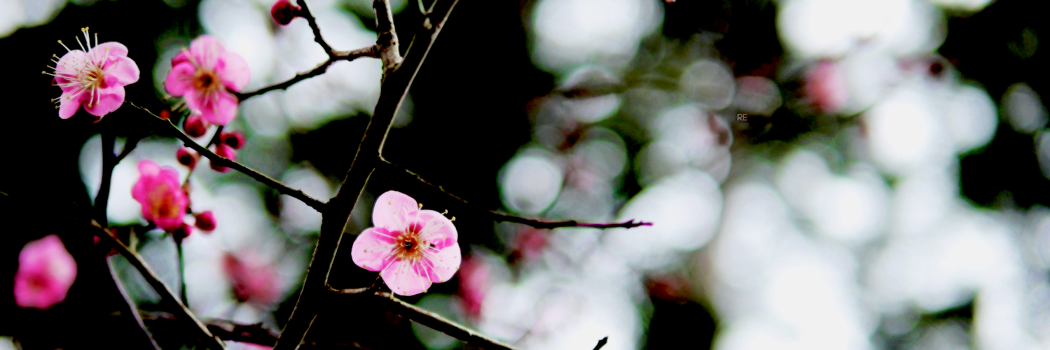 AgronDirtyDi's profile banner image
