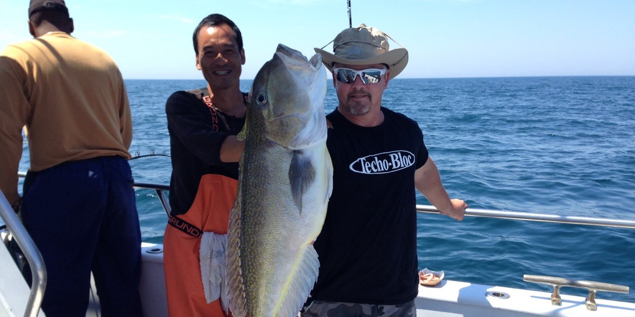 Brian Thacker banner