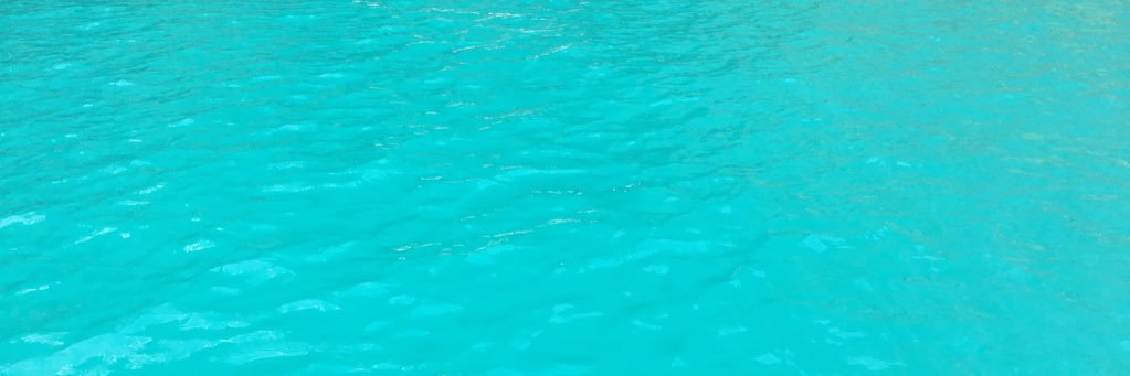 ShanHealy's profile banner image
