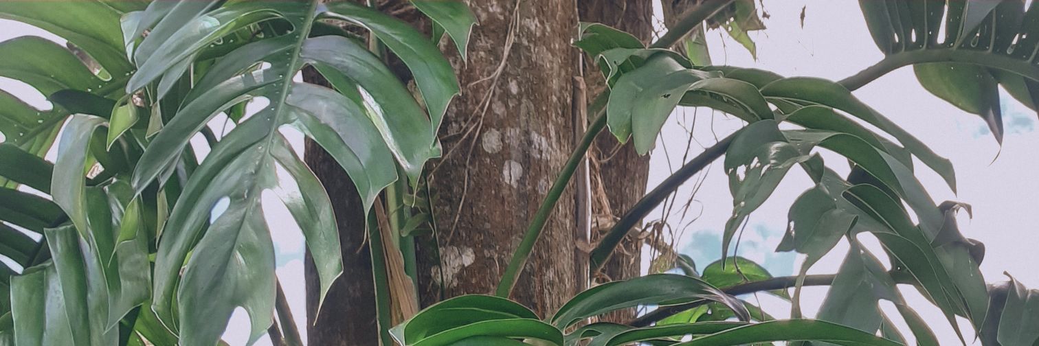 _harbibi's profile banner image