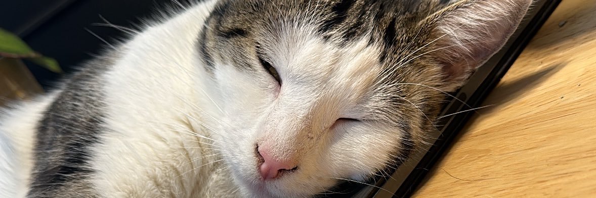 CFeenz's profile banner image