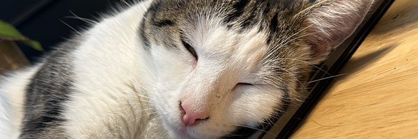 CFeenz Profile Banner