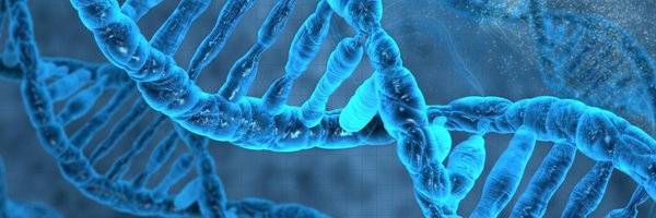 joe_abdo Profile Banner