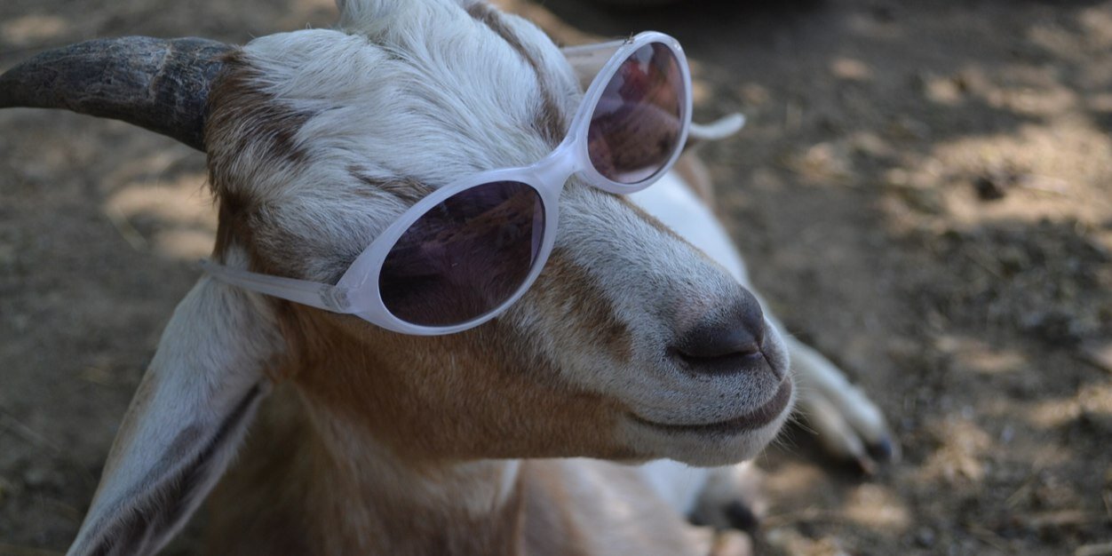 RealEarthGoat's profile banner image