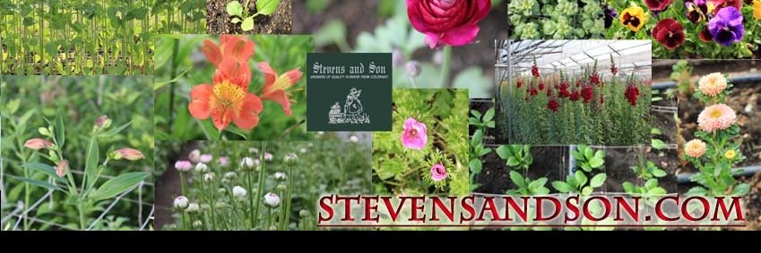 StevensandSon's profile banner image