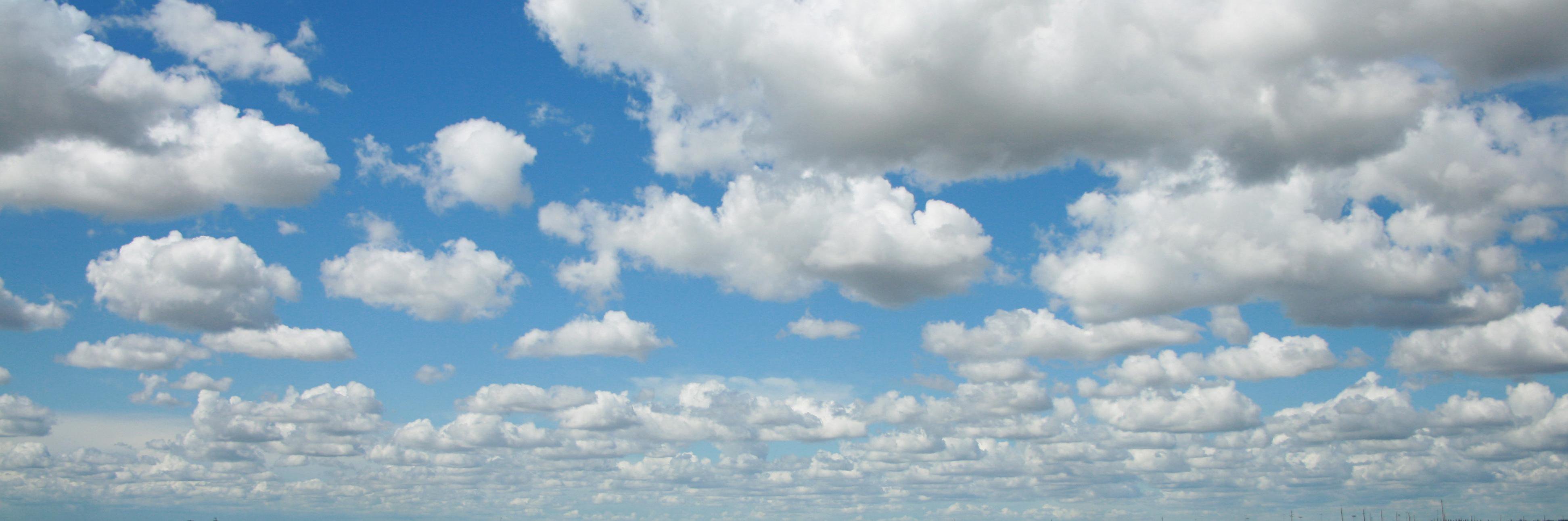 ewingjeffrey's profile banner image