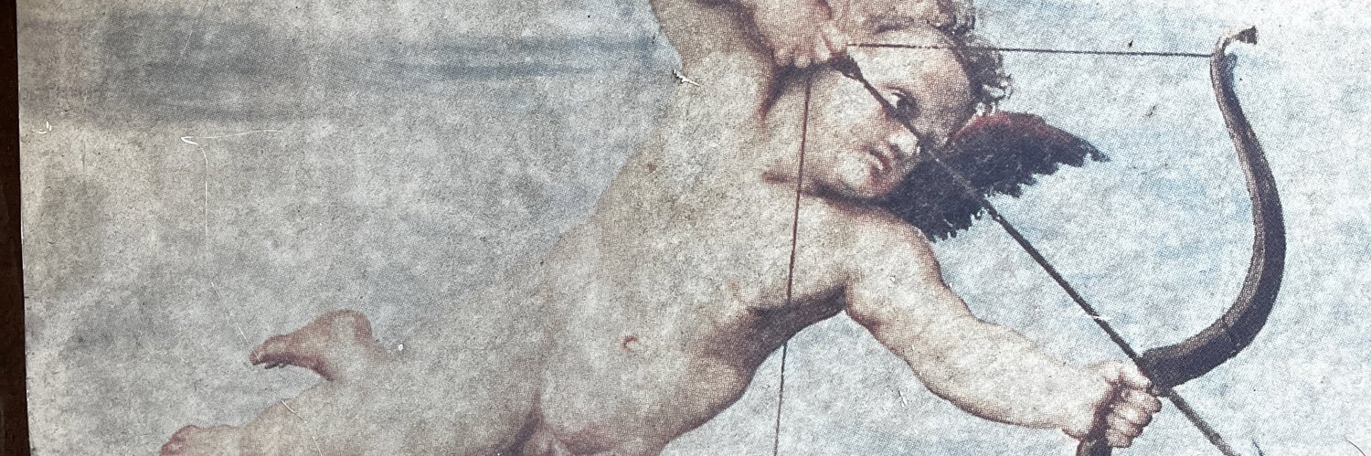 patchsanderson's profile banner image