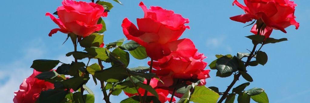 هدوء الكون banner