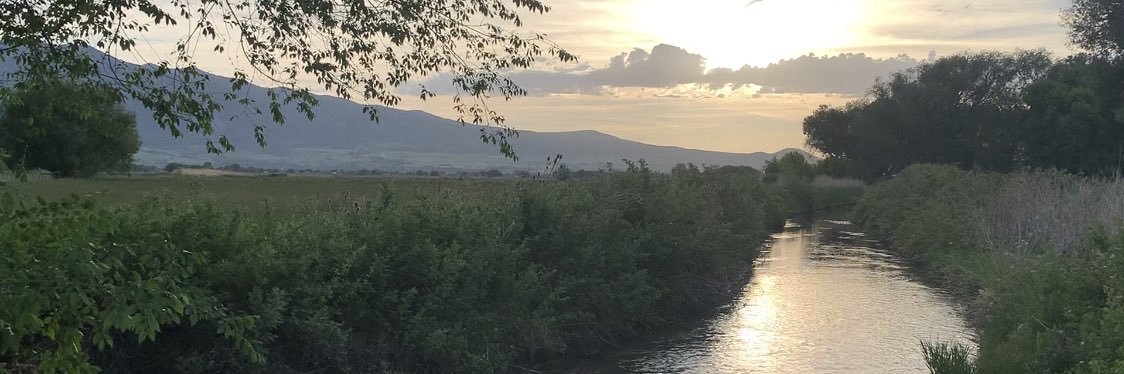 Shawn Maverick Milne banner