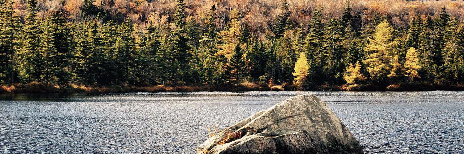 Andrew Cummings banner