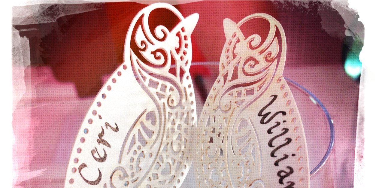 CeriLynn's profile banner image