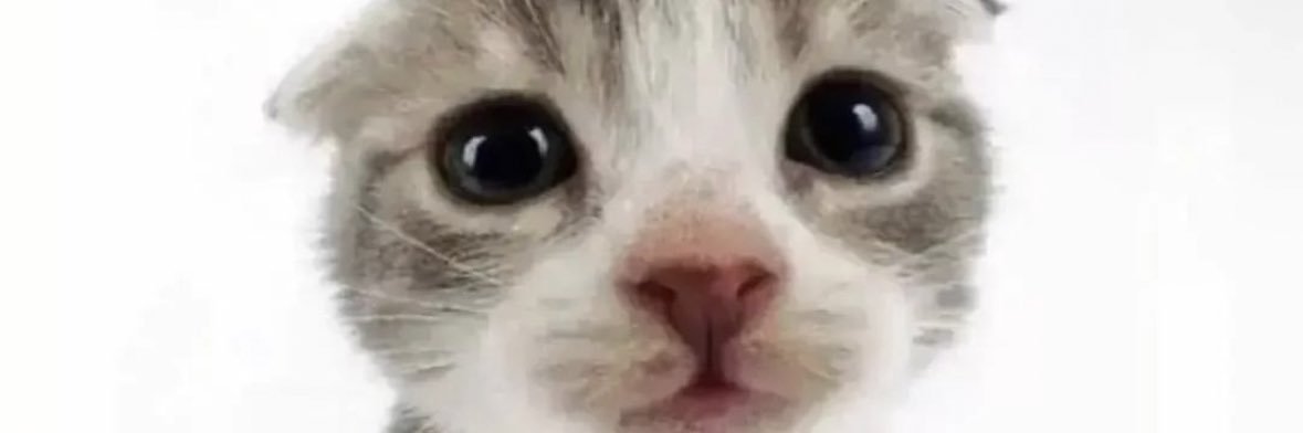 YeahImTodd's profile banner image