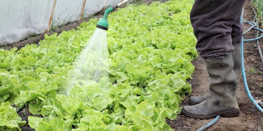 Terreplenish™ banner