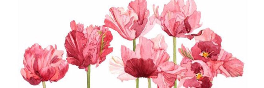 Pattcross's profile banner image