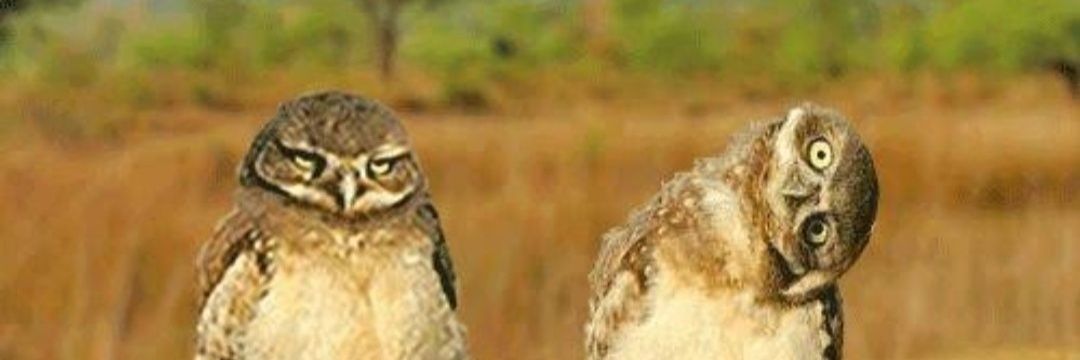 AnsoKS's profile banner image