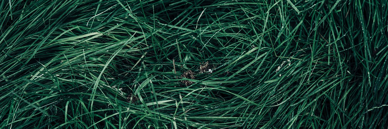 Abhimanyu Ghoshal banner