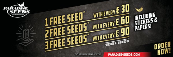 paradiseseeds Profile Banner