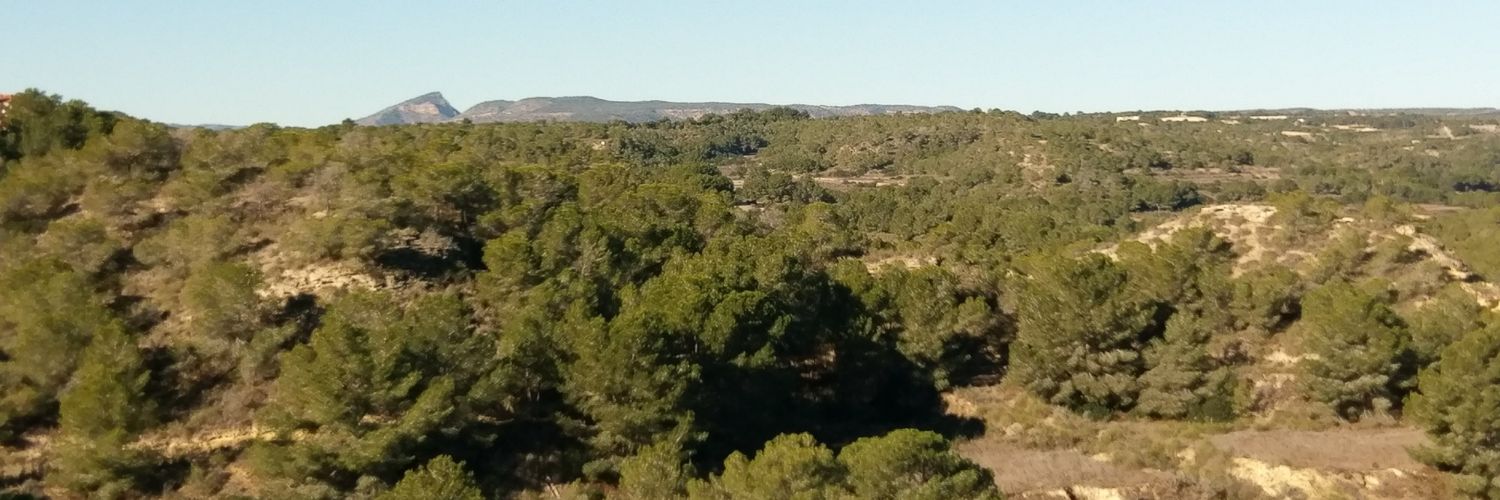 dan1el88's profile banner image