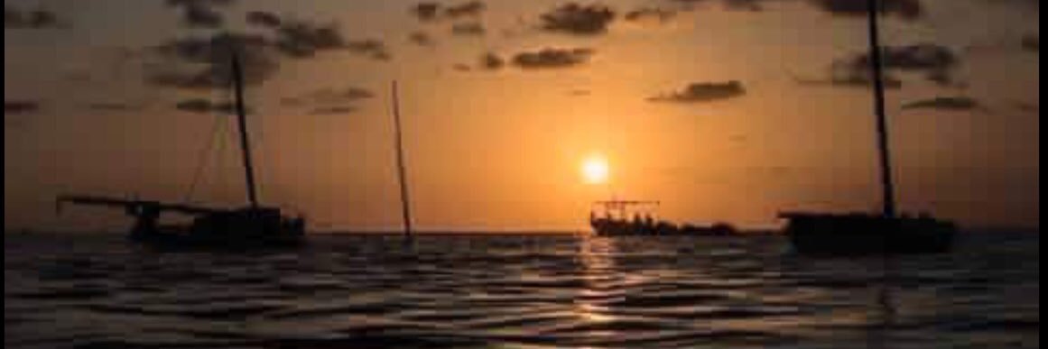 فتحي الجبال banner