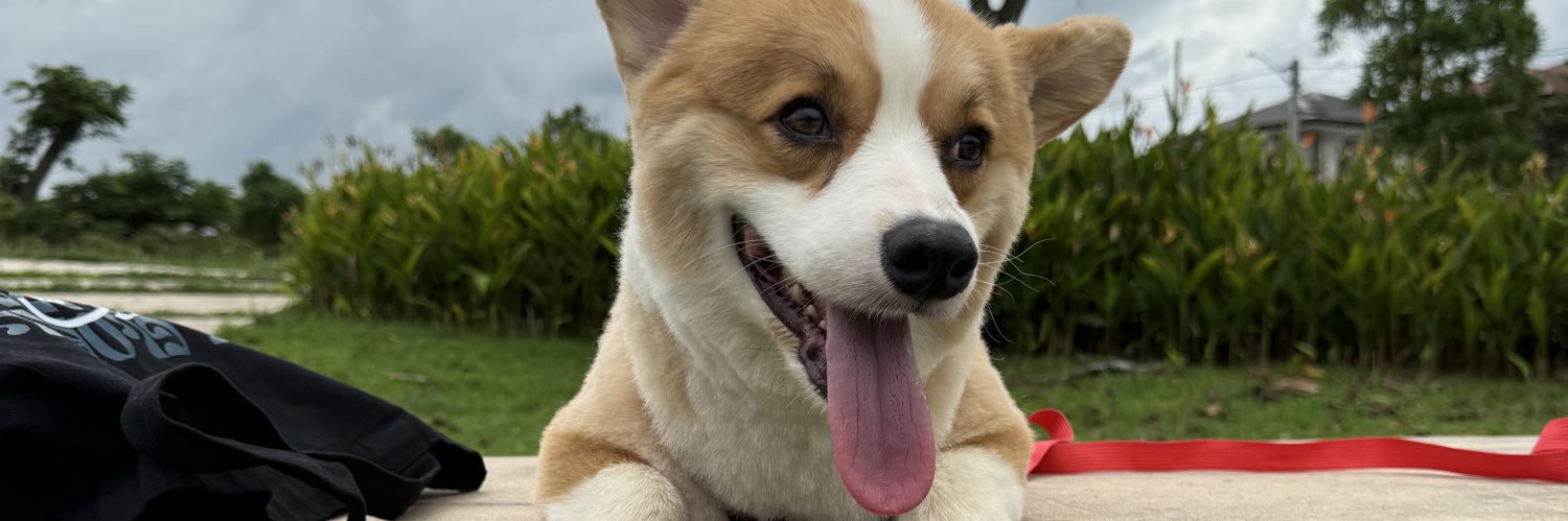 WalaAkongPakeee's profile banner image