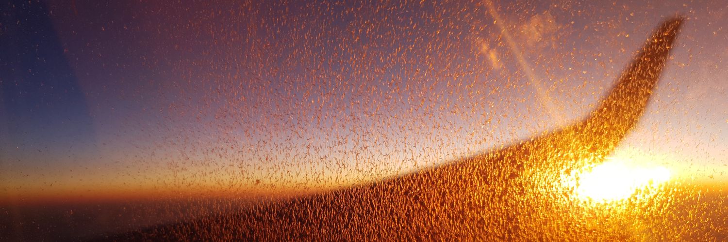 Faizan Kauser banner