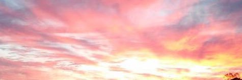 PetersLogan17's profile banner image