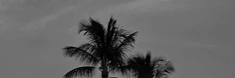 jaesrte_'s profile banner image