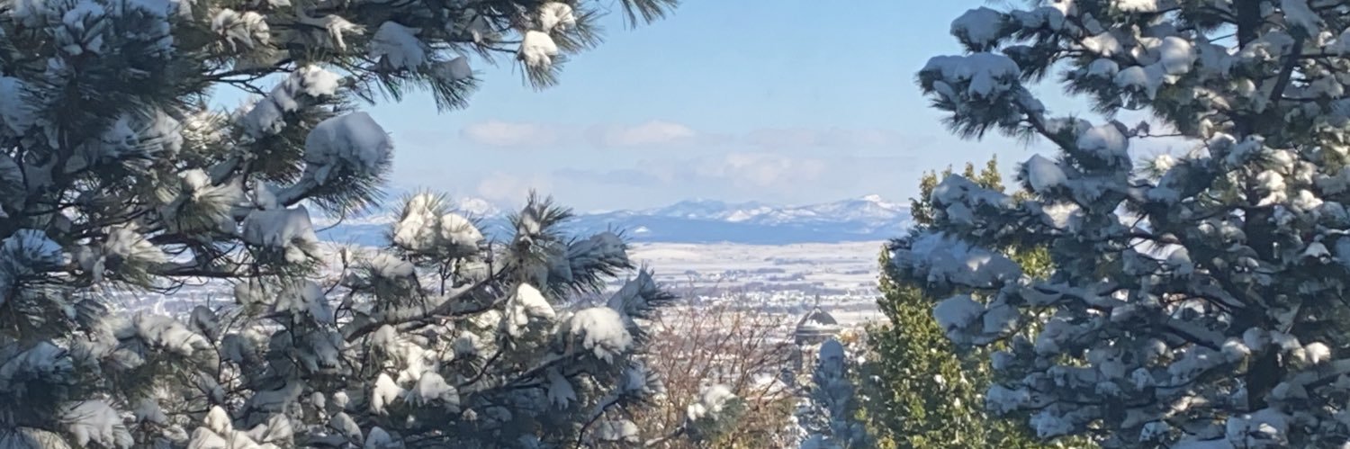 RmadisonMT's profile banner image