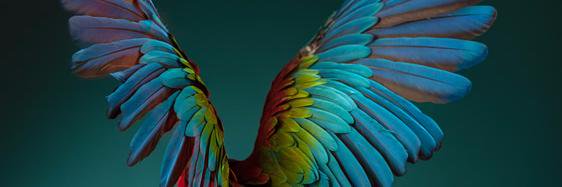 MayaZuleka's profile banner image