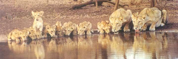 up_ss_oon's profile banner image