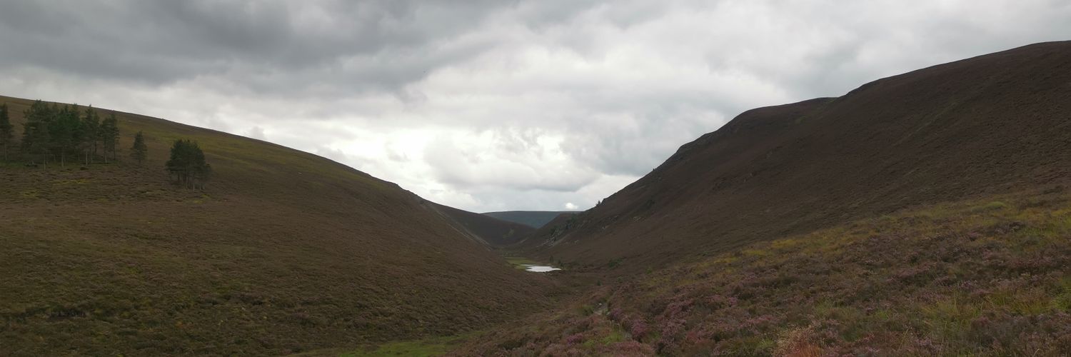 pbrobertsmtb's profile banner image