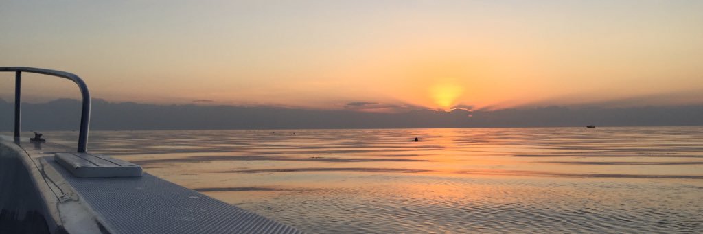 ItsBriann1's profile banner image